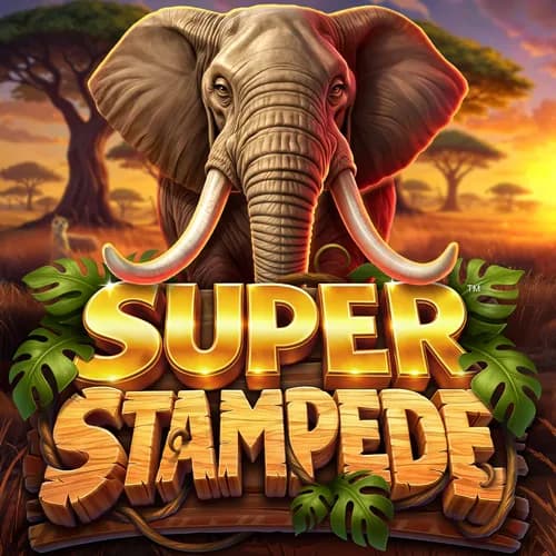 bs-SUPER-STAMPEDE-square.webp